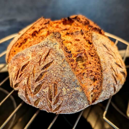100 % Weizenvollkorn Sauerteigbrot