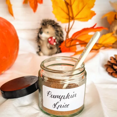 Pumpkin Spice (Kürbisgewürz)